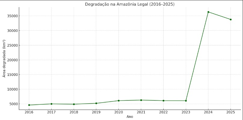 Olhar 67 - Governo Federal ignora crescimento da degradação na Amazônia que chega a 482% neste ano
