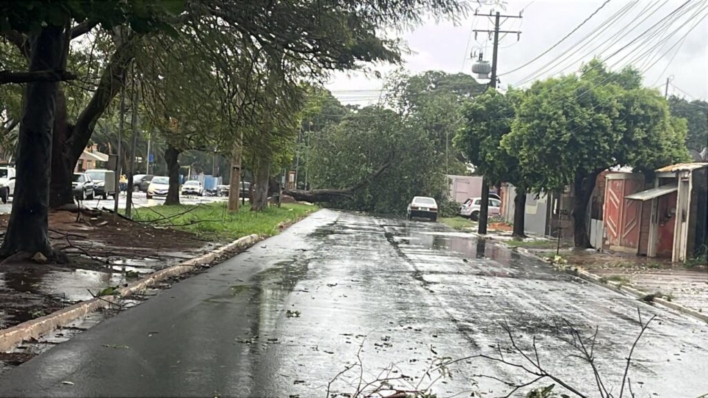 Olhar 67 - Chuvas e ventos fortes atingem o centro-sul de Mato Grosso do Sul e provocam acidentes