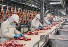 China aplica sobretarifação sobre a carne bovina brasileira