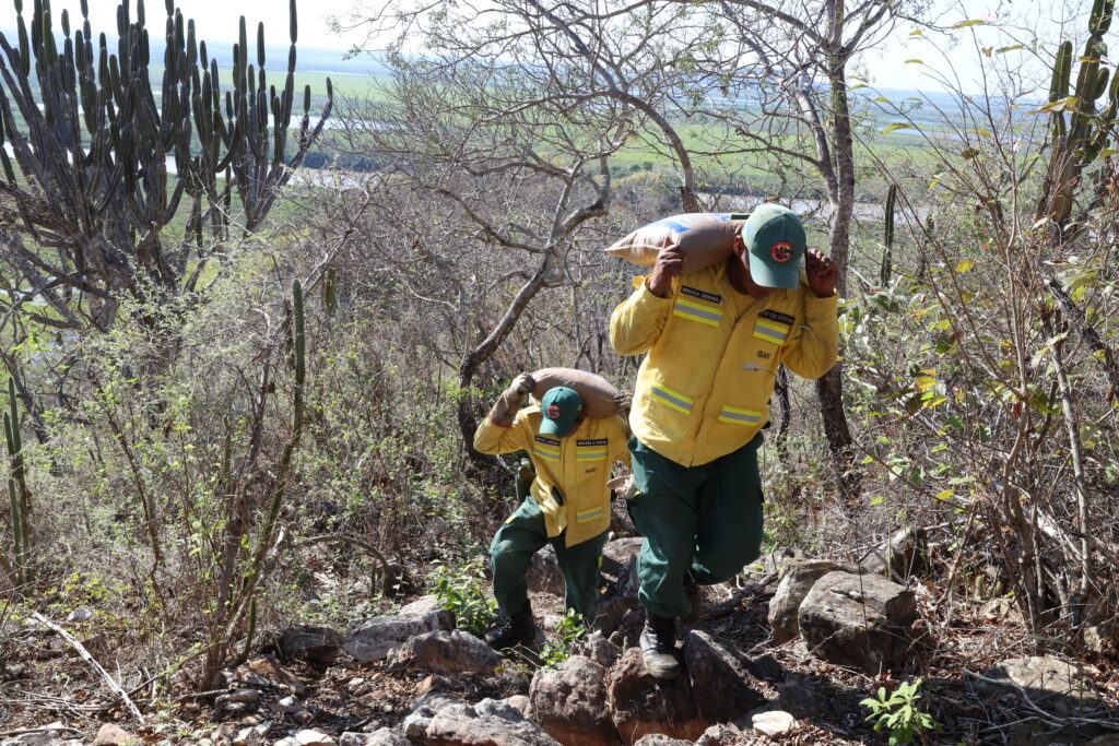 Monitoramento com IA amplia cobertura no Pantanal e passa a proteger território indígena 2 Olhar 67 - Monitoramento com IA amplia cobertura no Pantanal e passa a proteger território indígena
